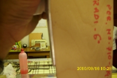 DSCI0923