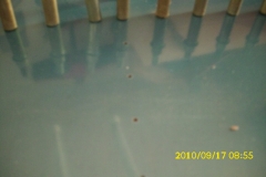 DSCI0941