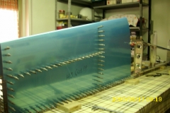 DSCI0942