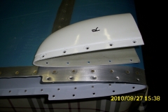 DSCI0976