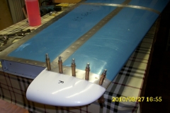 DSCI0978