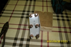 DSCI0981