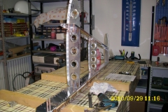 DSCI0982